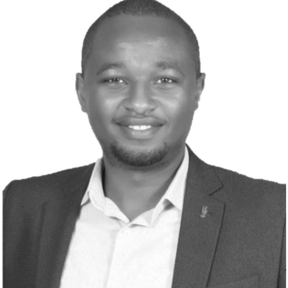 Dennis (E-Mobility Expert)